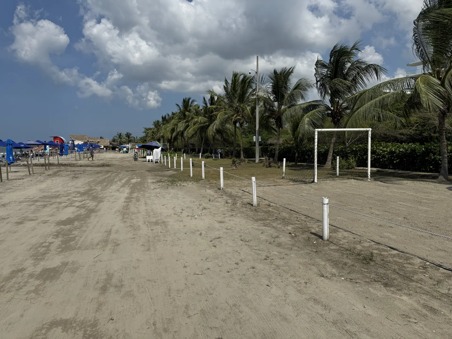 Actívate rodeado de verde puro sin salir de tu refugio